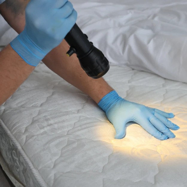 Détection punaises de lit